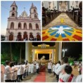 Grupo de jovens do EJC preparam tapete para celebração de Corpus Christi, na Matriz do Divino Espírito Santo 